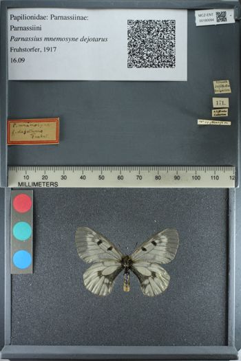 Media type: image;   Entomology 180094